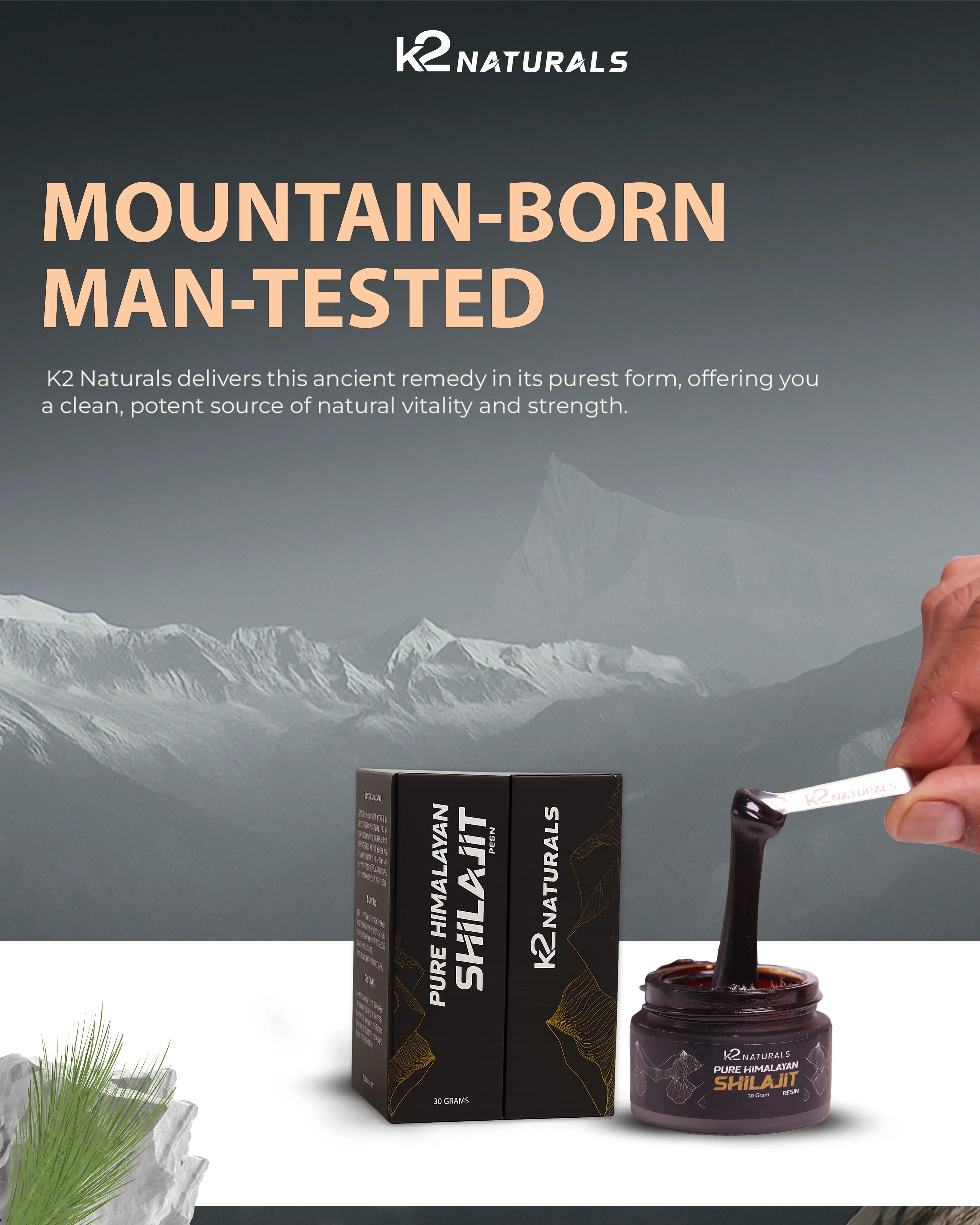 Mountain-Born Shilajit